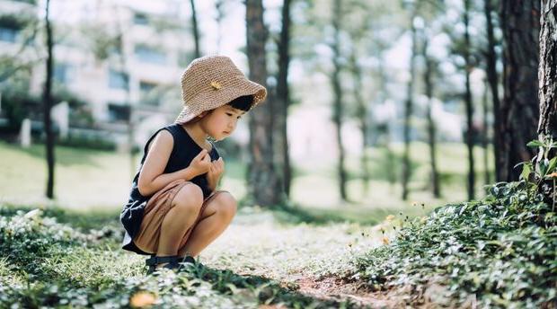小女孩蹲在森林里看大自然